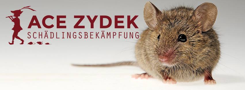ACE Zydek Schädlingsbekämpfung