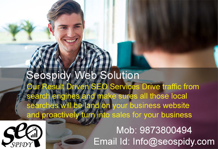 seospidy web solution - website design company in delhi ncr