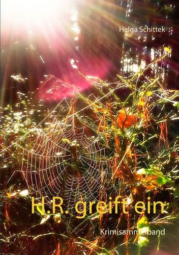 H.R. greift ein (Krimisammelband)