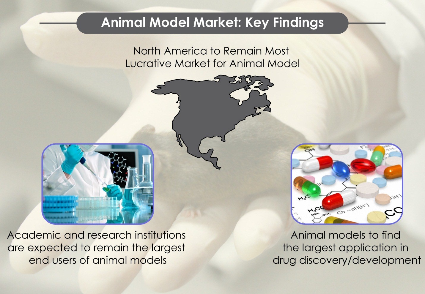 animal model market