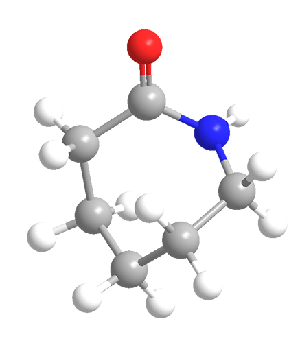  Caprolactam Industry