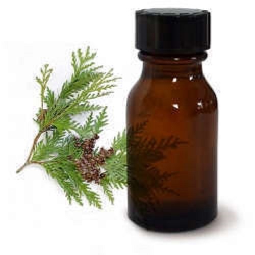 Cedar leaf oil