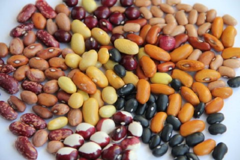 Crop Nutrients & Ingredient