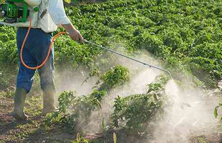 Crop Protection Chemicals