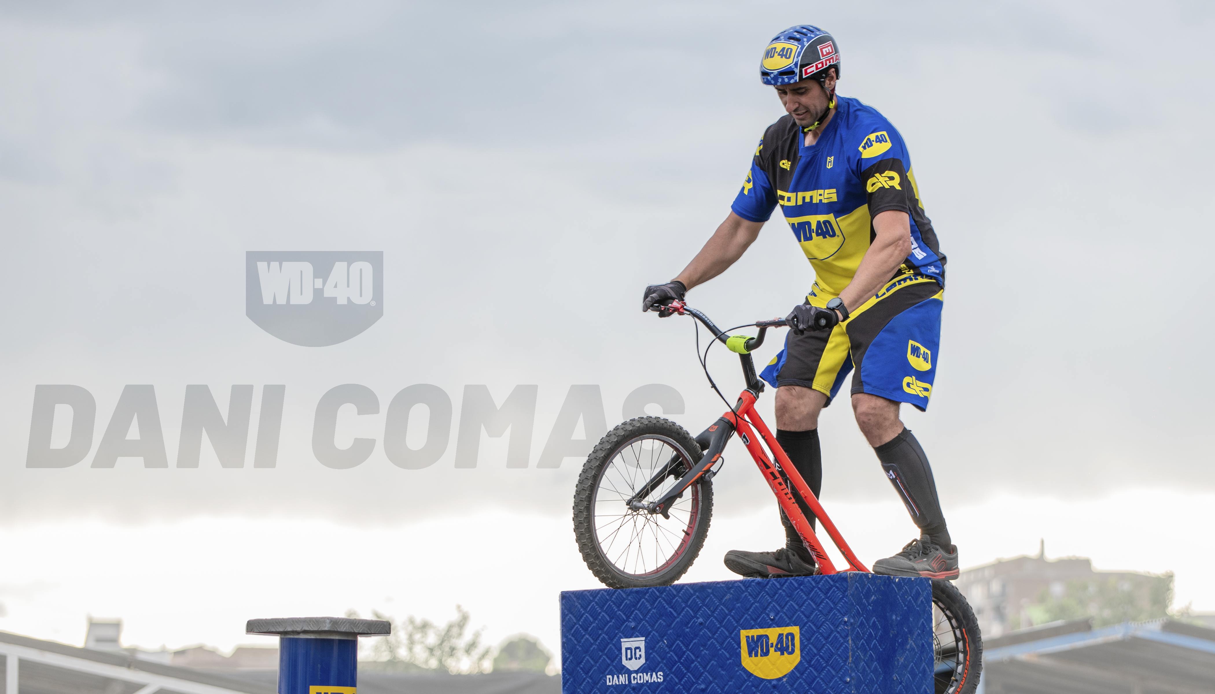 Dani Comas, WD-40 Company Limited