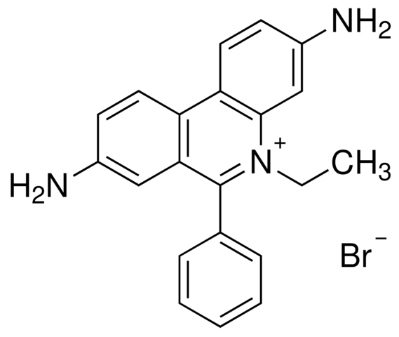 Ethidium Bromide