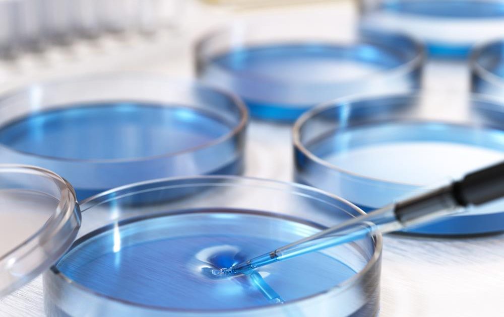 Fiber Coatings