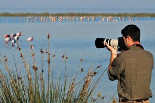 Fotografie und Birdwatching im Po Delta-Park - Copyright Archivio Po Delta Tourism