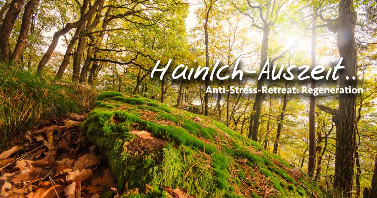 HainICH-Auszeit im WaldResort