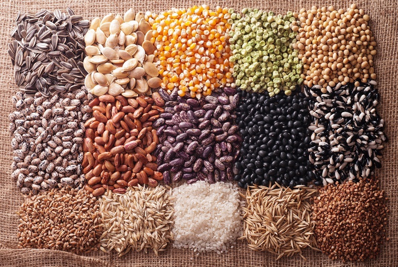 Hybrid Vegetable Seeds