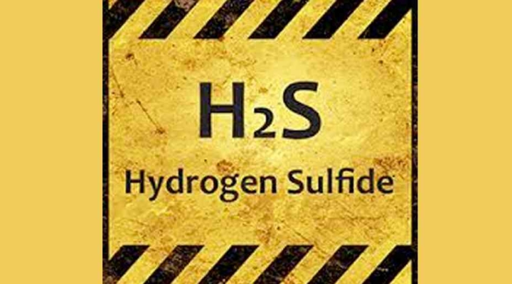 Hydrogen Sulfide Market