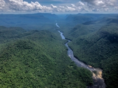 Der Potaro River schlängelt sich durch den Primär-Regenwald Guyanas. Foto: David DiGregorio