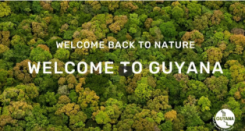 Ein Video über das Naturparadies Guyana beeindruckte die Jury