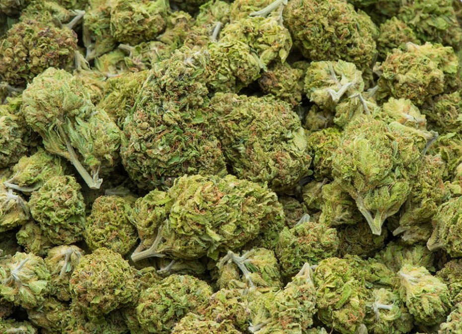 Medical Cannabis