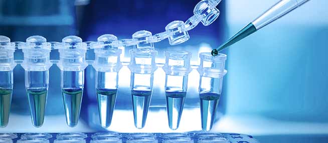 Microbial Technology Product