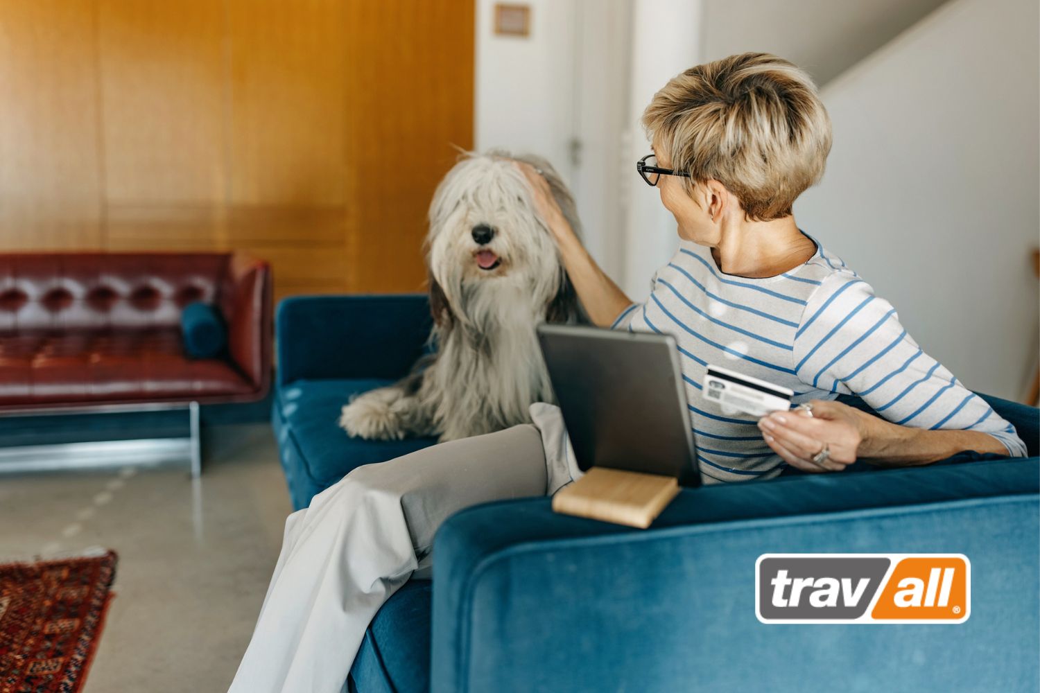 Wer einen Hund im Auto transportieren möchte, kann passendes Autozubehör online bei Travall bestellen.© Travall