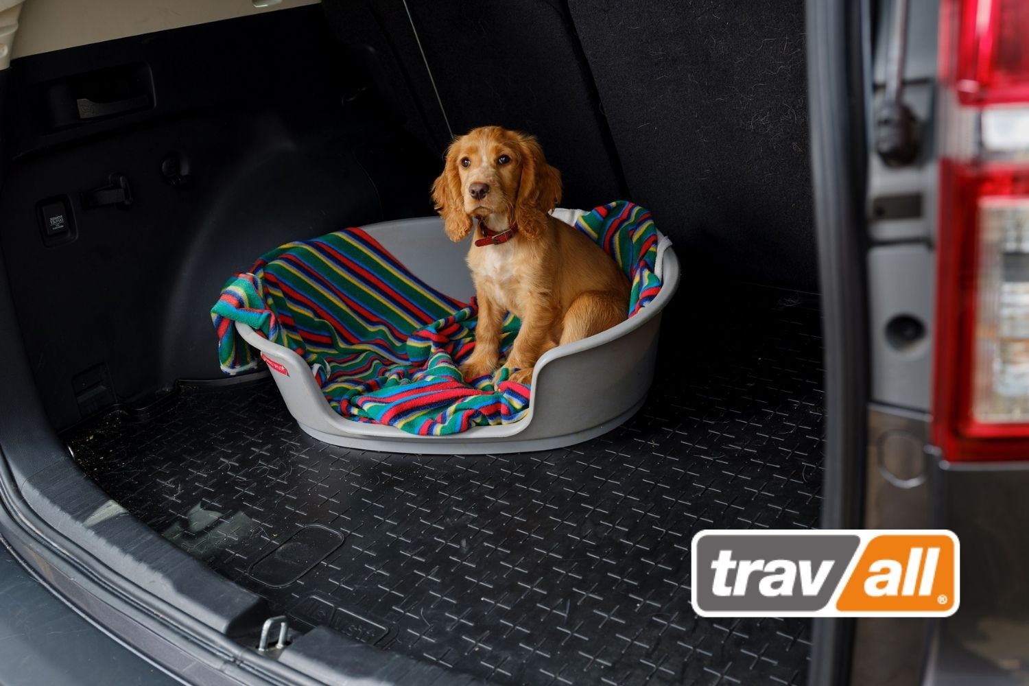 Wenn ein Hund im Auto transportiert wird, sollte das Heck durch eine fahrzeugspezifische Kofferraumwanne vor Flecken geschützt werden. © Travall