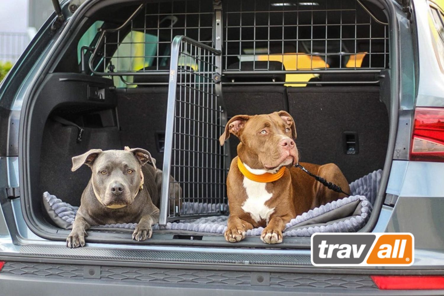 Wer einen Hund im Auto transportieren möchte, kann das Tier mit Hundegitter und Kofferraumteiler von Travall sichern.© Travall