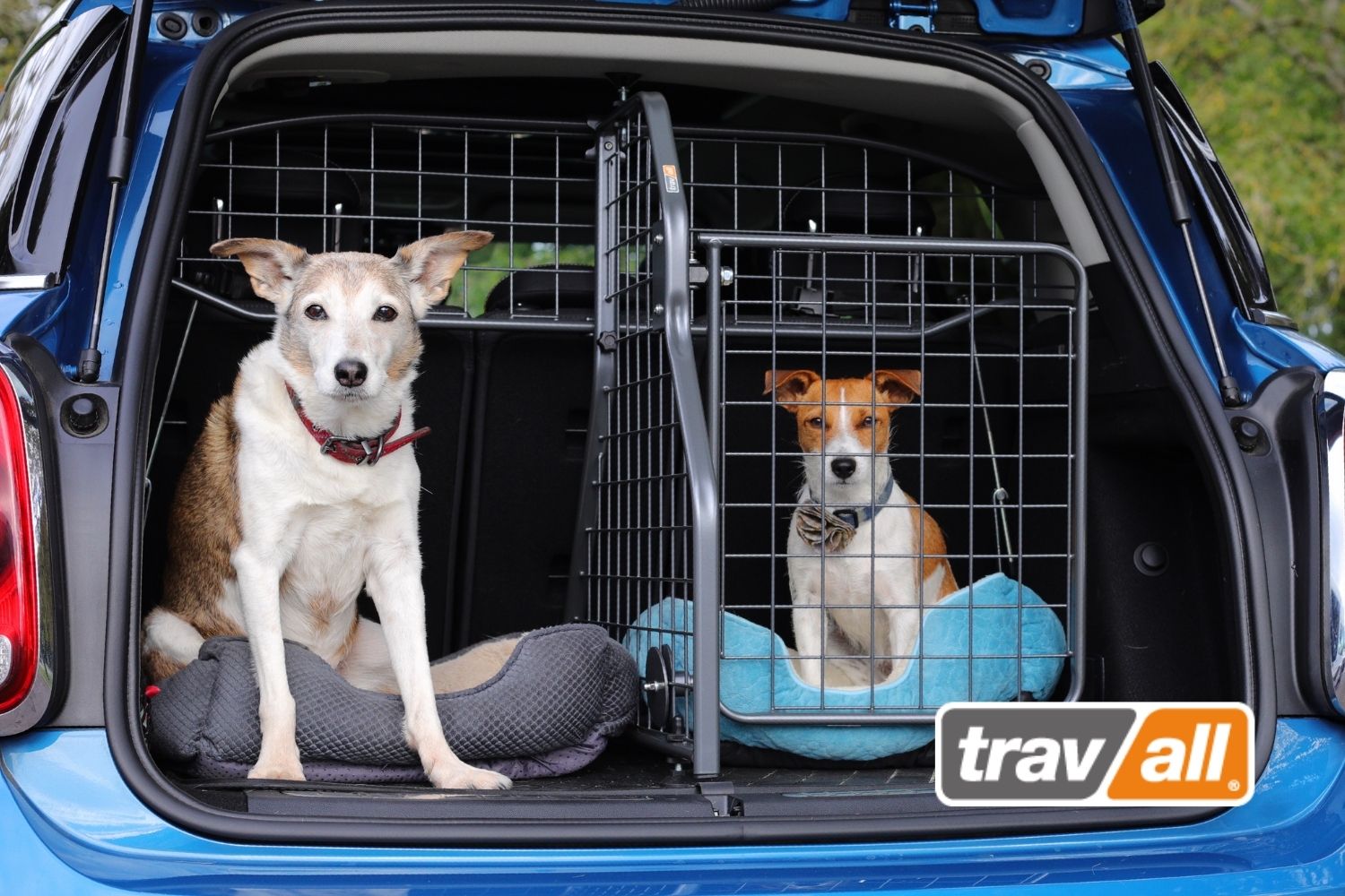 Mit Travall-Zubehör wird der Kofferraum zu einem perfekt ausgestatteten Hundebereich. © Travall