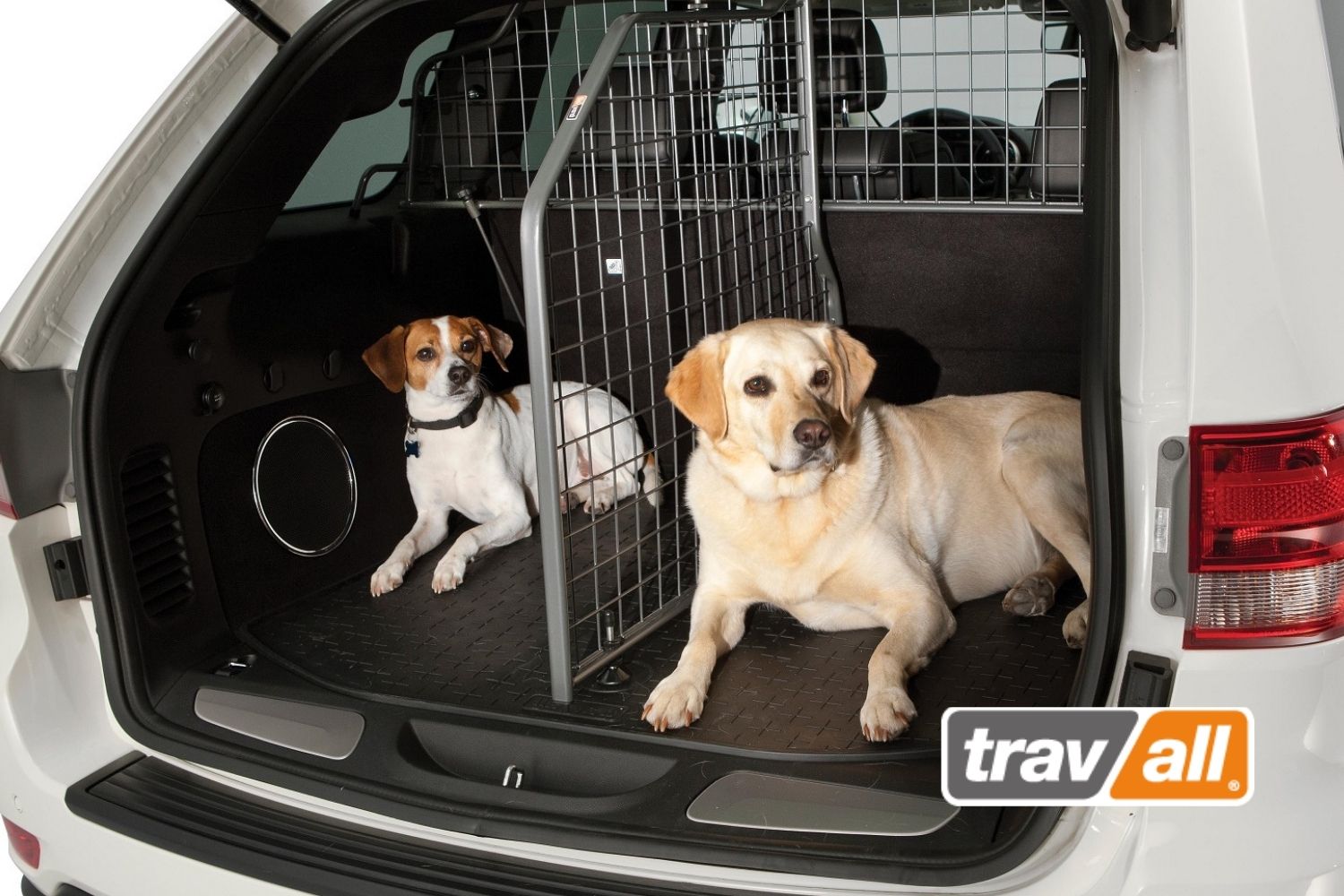 Hunde werden mit Travall Hundegittern effektiv im Auto gesichert. © Travall