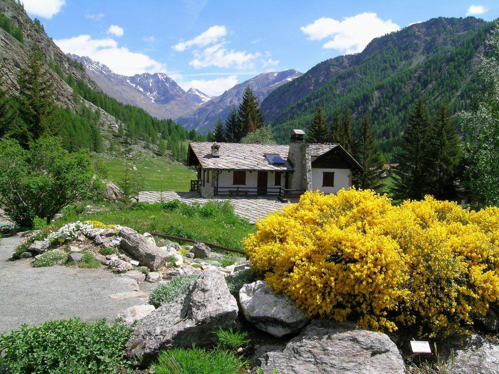 Giardino botanico Paradisia Cogne Archives Tourisme Vallée d'Aoste
